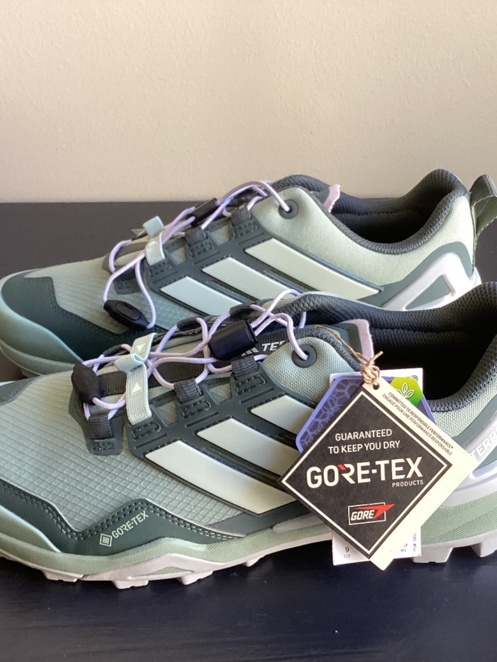 NWT Ladies Adidas TERREX Skychaser GoreTex Hiking GTX Green Shoes Size 7.5